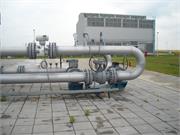 Banatski dvor slika19